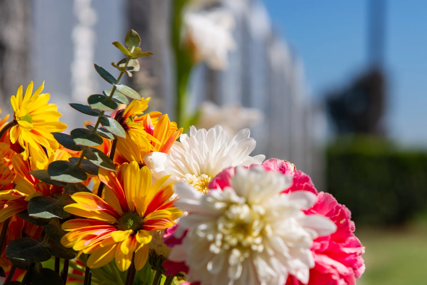 Historic grounds of Evergreen Cemetery